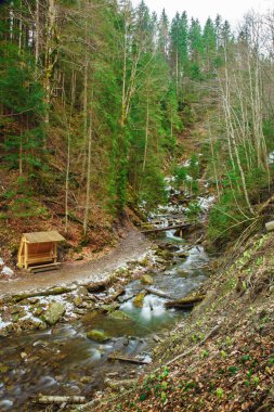 Güzel dağ şelale Huk Karpatlar