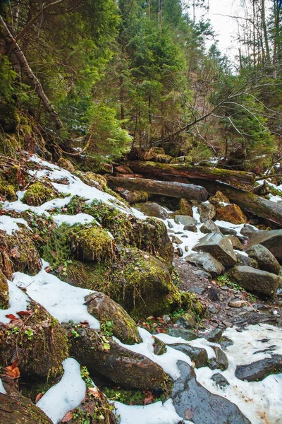 Schöner Bergwasserfall huk in den Karpaten — Stockfoto