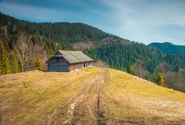 Çok güzel dağ Ukranian Karpatlar