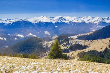 Dağlar Romanya ' kayalık Fagaras manzara