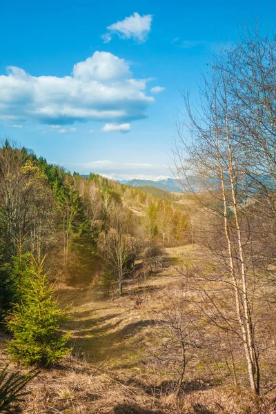 Paisagem das montanhas rochosas de Fagaras na Roménia — Fotografia de Stock