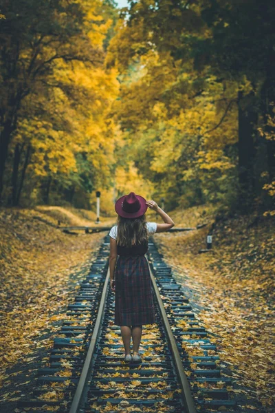 Minimal Autumn Railway Colors Beauty Trees — Stock Photo, Image