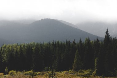 Dağlarda şaşırtıcı peyzaj 