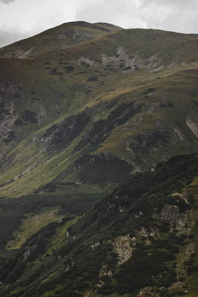 Dealul Verde Multă Iarbă — Fotografie, imagine de stoc