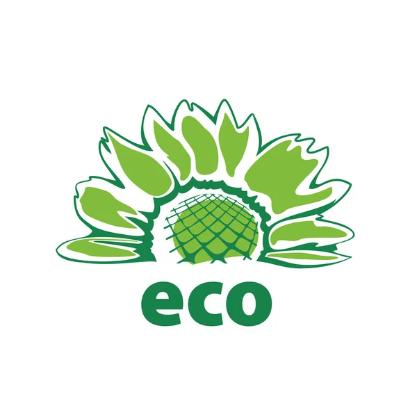 Logotipo do vetor eco — Vetor de Stock