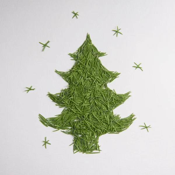 Gröna träd av nålar — Stockfoto