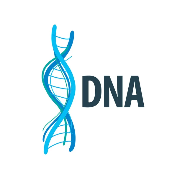 Vector logo de ADN — Archivo Imágenes Vectoriales