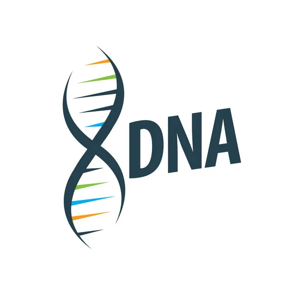 Dna molécule symbole sur fond blanc — Image vectorielle artbutenkov