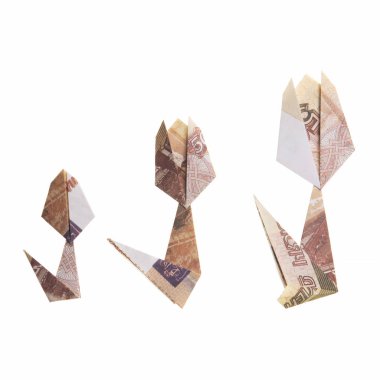 çiçek origami banknotlar