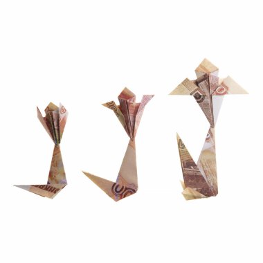 çiçek origami banknotlar
