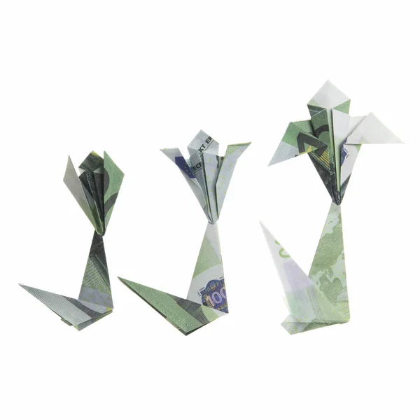 Banknoty origami kwiaty — Zdjęcie stockowe