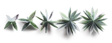 çiçek origami banknotlar