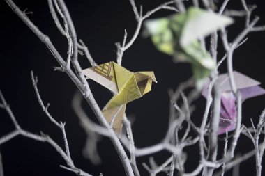 Banknot origami kuş