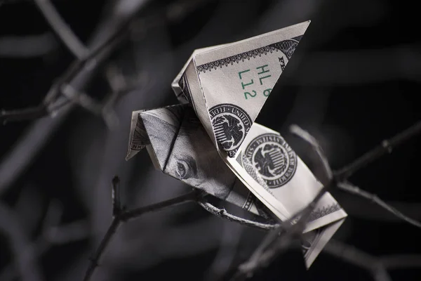 Origami-Vogel aus Banknoten — Stockfoto