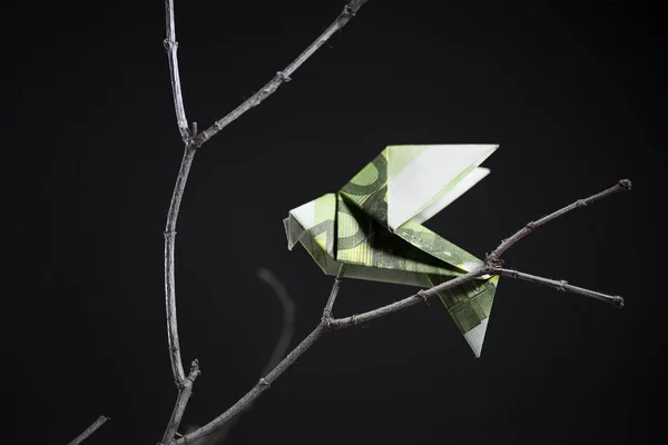 Origami bird from banknotes — Stock Photo, Image