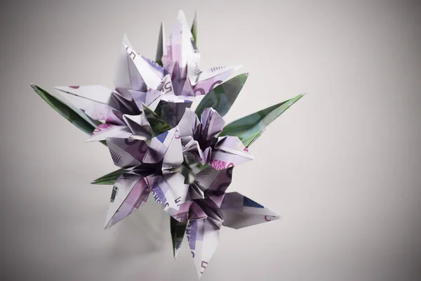 Banknoty origami kwiaty — Zdjęcie stockowe
