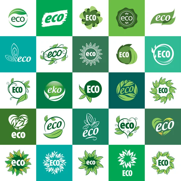 Icon vector eco — Stock Vector