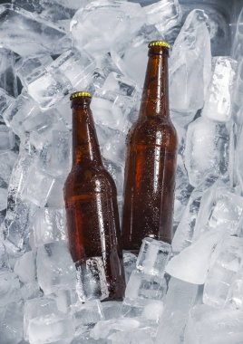 bira buz üstünde