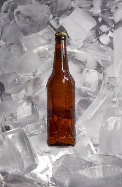 bira buz üstünde