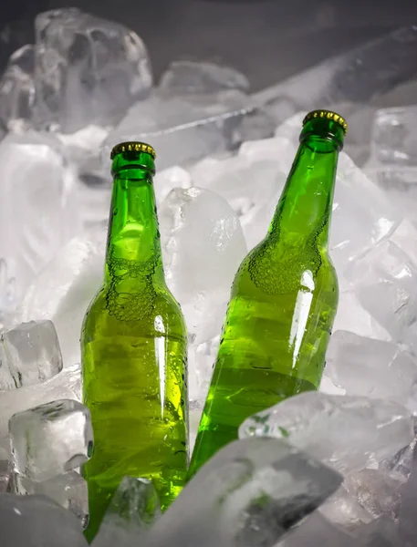 Bottles of beer on ice Royalty Free Stock Photos