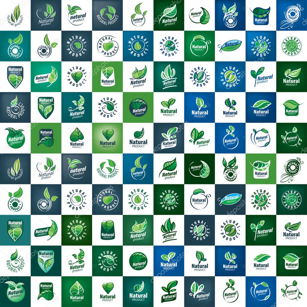 Natural product logo design vector template. Leaf icon