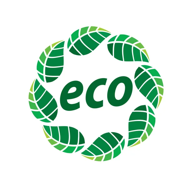 Logo vector eco — Stock Vector