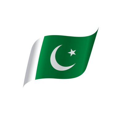 Pakistan bayrağı, vektör çizim