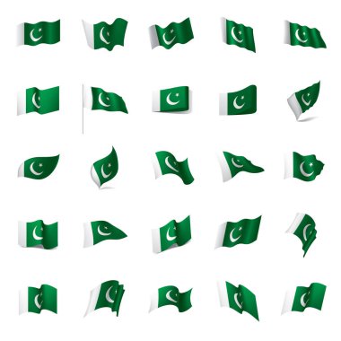 Pakistan bayrağı, vektör çizim