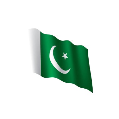 Pakistan bayrağı, vektör çizim