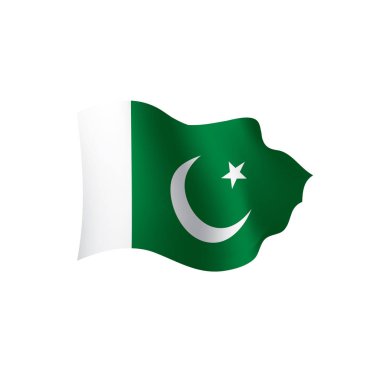 Pakistan bayrağı, vektör çizim