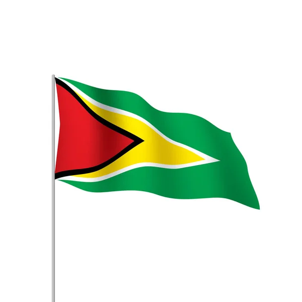 圭亚那国旗, 矢量插图 — 图库矢量图片