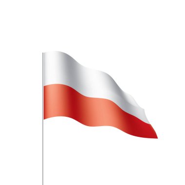 Polonya bayrağı, vektör illüstrasyonu
