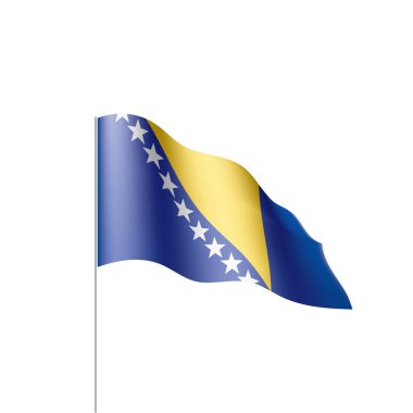 Bosna-Hersek bayrağı, vektör çizim