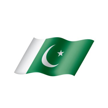 Pakistan bayrağı, vektör çizim