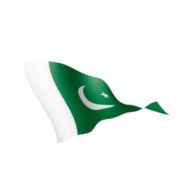 Pakistan bayrağı, vektör çizim