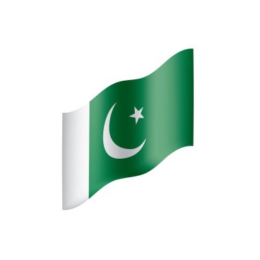 Pakistan bayrağı, vektör çizim