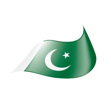 Pakistan bayrağı, vektör çizim