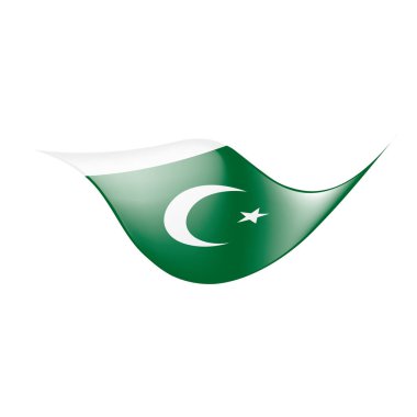 Pakistan bayrağı, vektör çizim