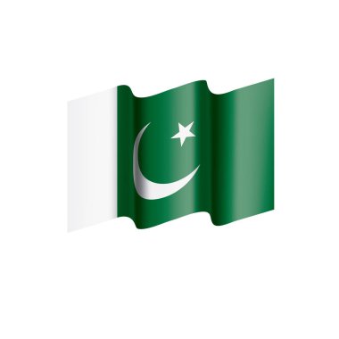 Pakistan bayrağı, vektör çizim