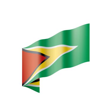 Guyana bayrak, vektör çizim