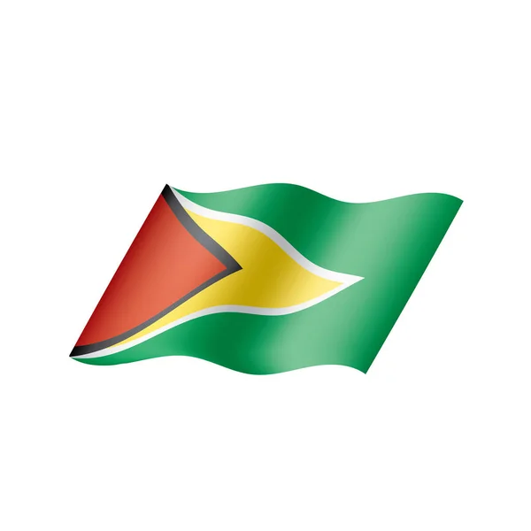 Гайянський прапор, Векторні ілюстрації — стоковий вектор