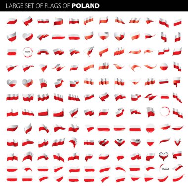 Polonya bayrağı, vektör illüstrasyonu