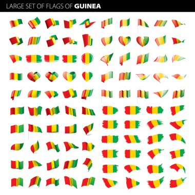 Gine bayrağı, vektör illüstrasyonu