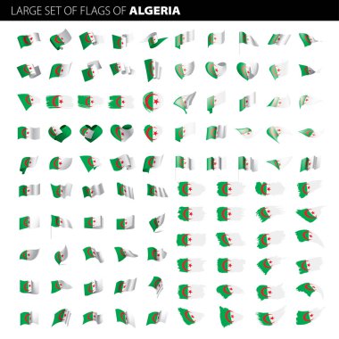 Cezayir bayrağı, vektör çizim