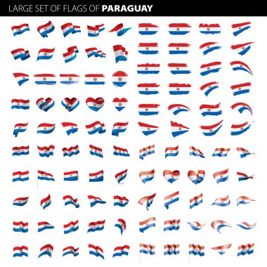 Paraguay bayrak, vektör çizim
