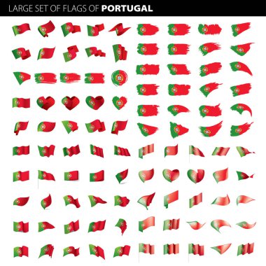 Portekiz bayrağı, vektör illüstrasyonu