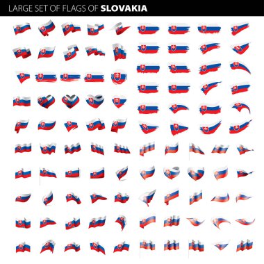 Slovakya bayrağı, vektör çizim