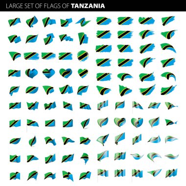 Tanzanya bayrak, vektör çizim