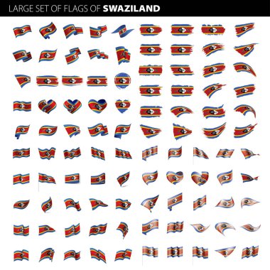 Svaziland bayrak, vektör çizim