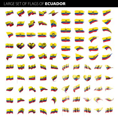 Ekvador bayrak, vektör çizim